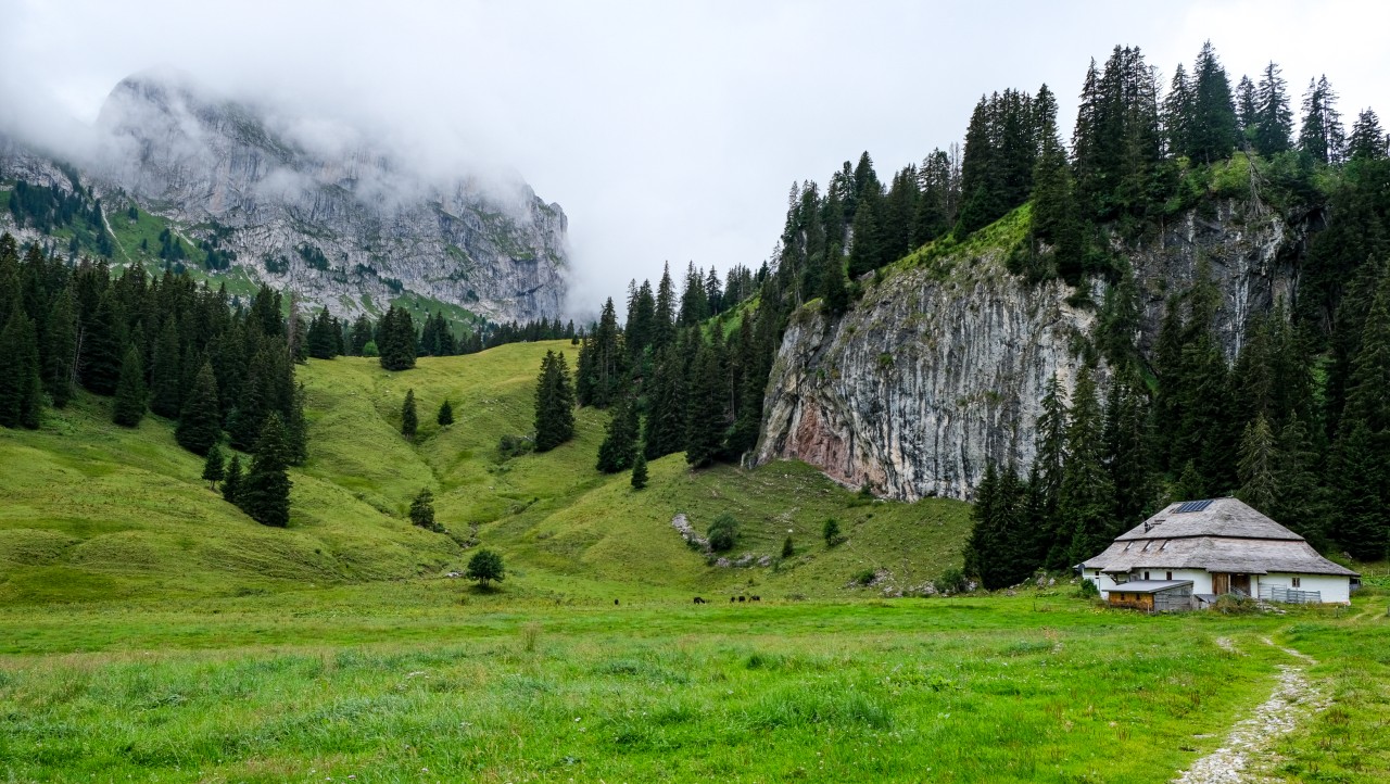 Chalet du Lapé Petit Mont