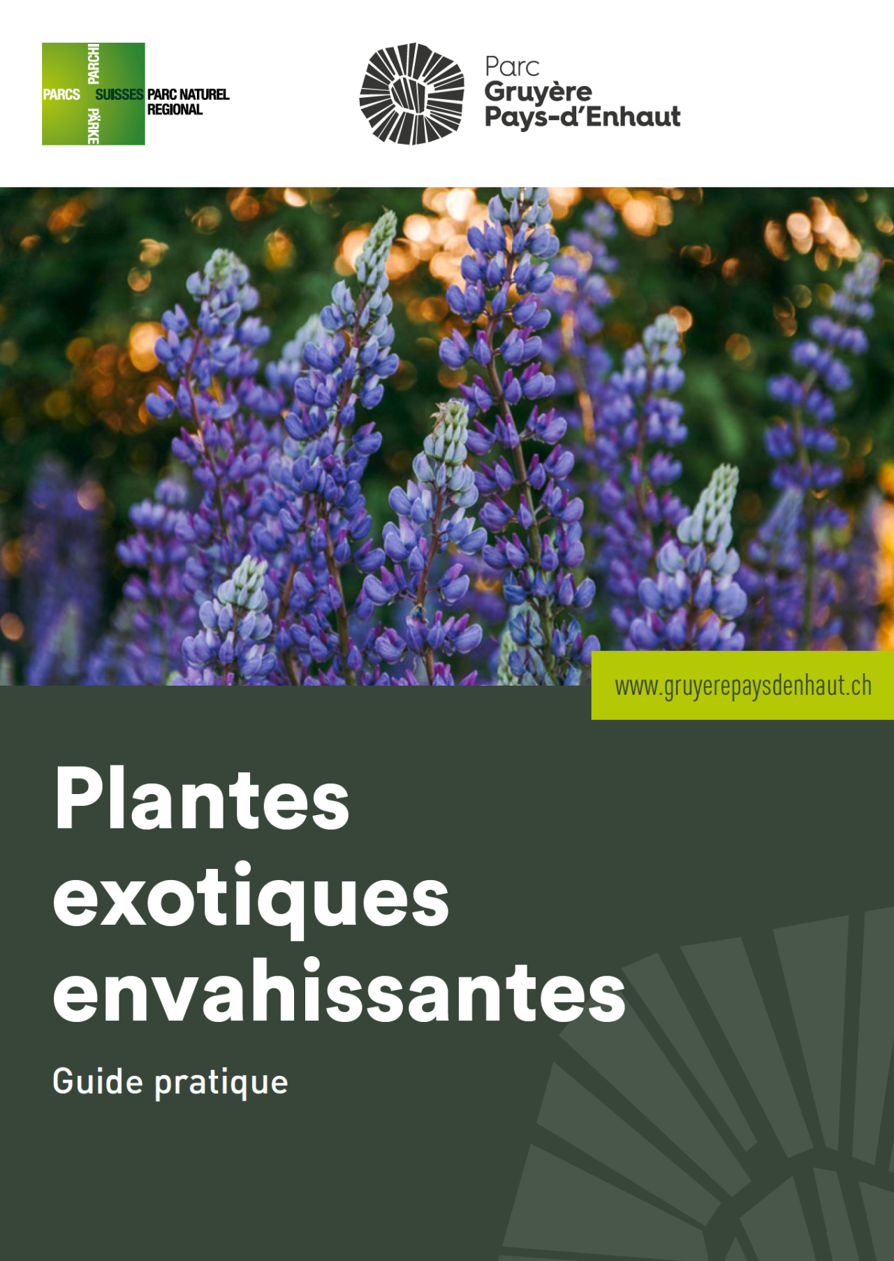 Brochure invasives