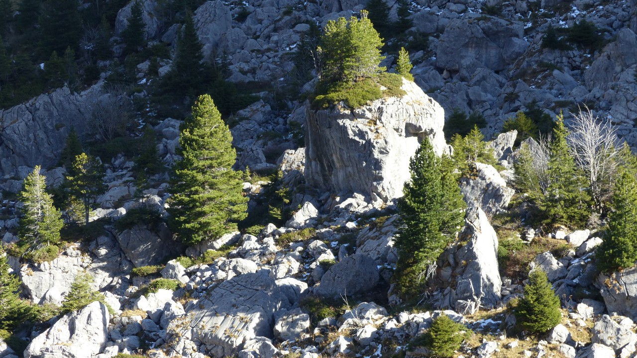 Arolles-4000x2250
