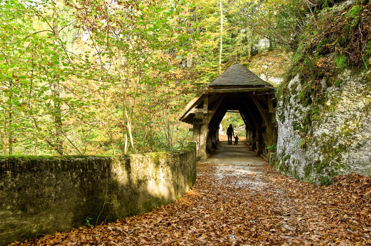 Pont couvert Lessoc enfant