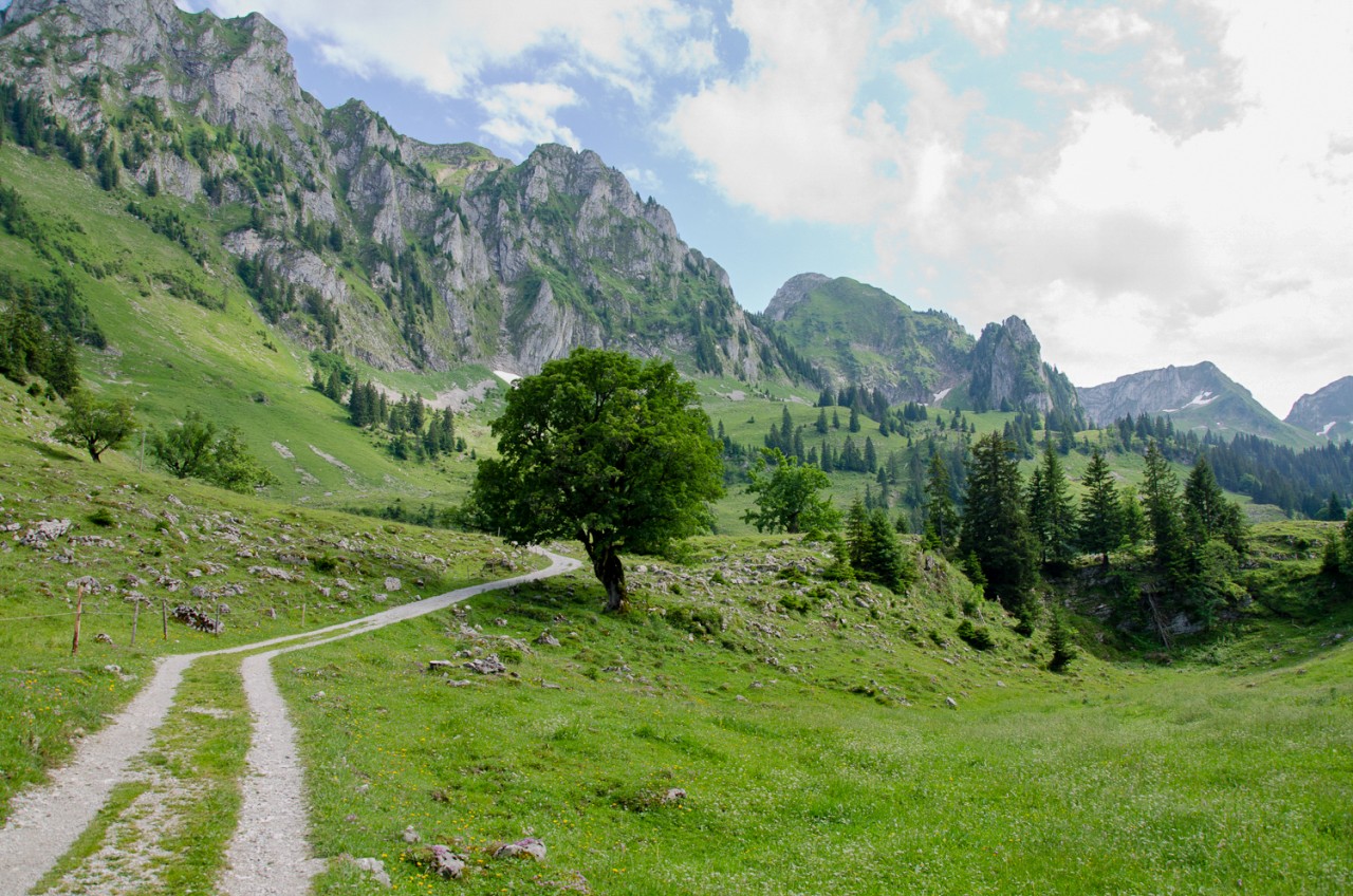 Breccaschlund chemin