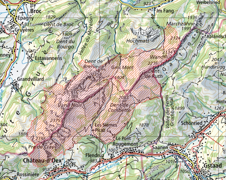 Carte IFP Vanil Noir