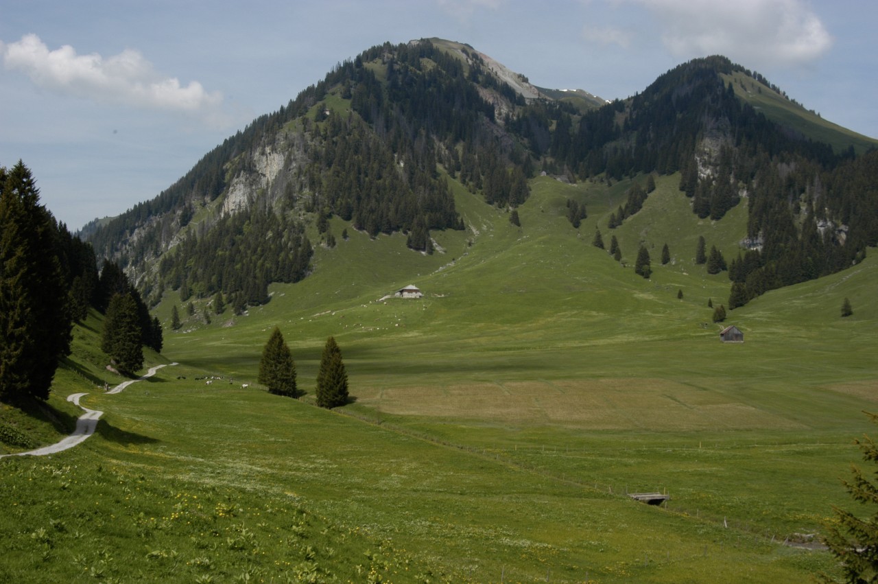 Gros Mont