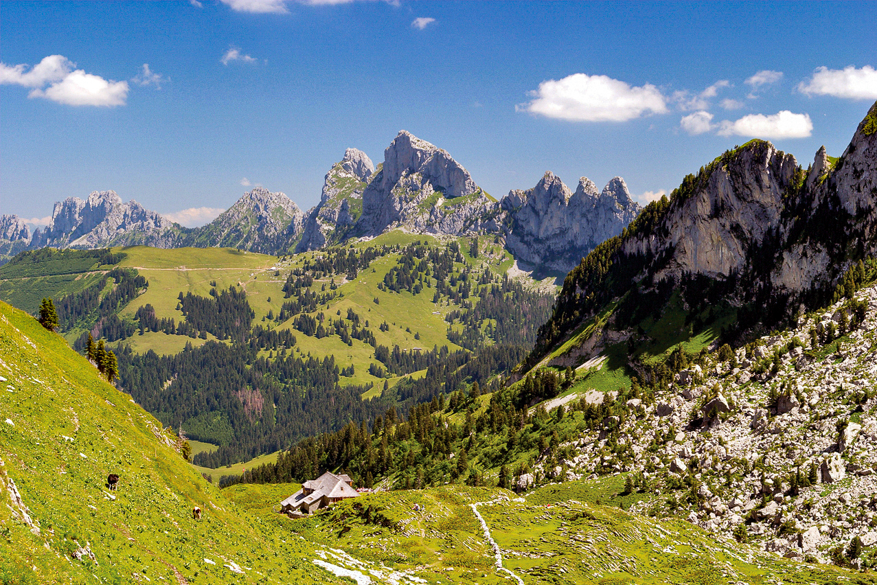 Vallon des Mortheys