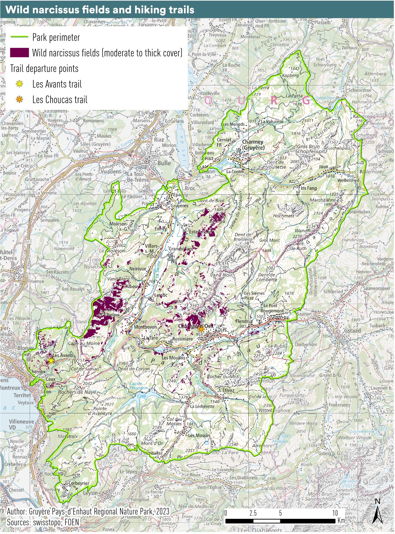 Map hiking and discover narcissi