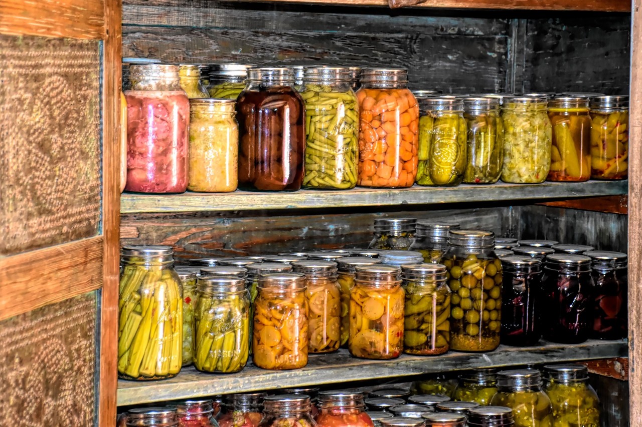 Cours lactofermentation