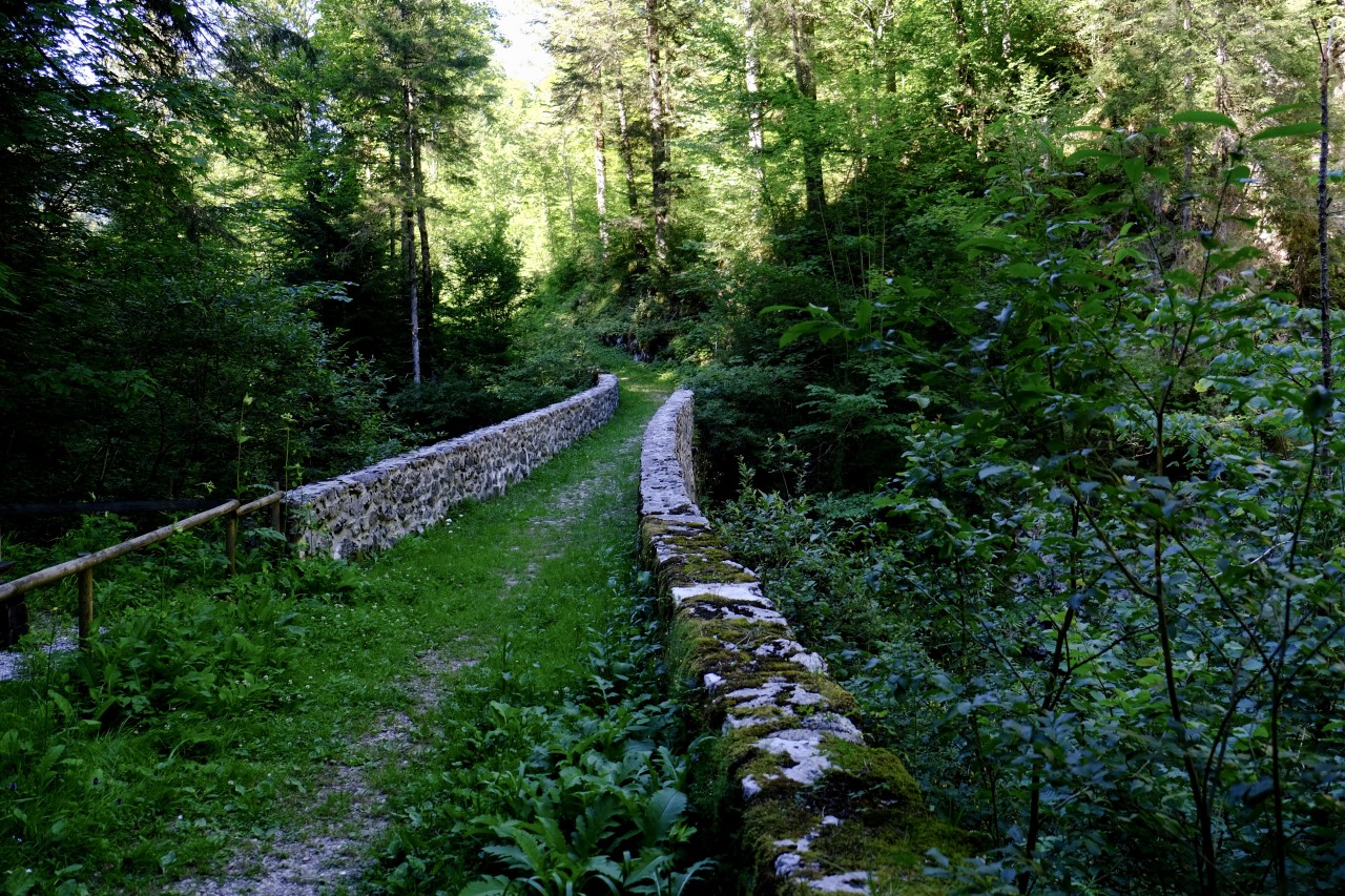 Allières-Montbovon Pontet