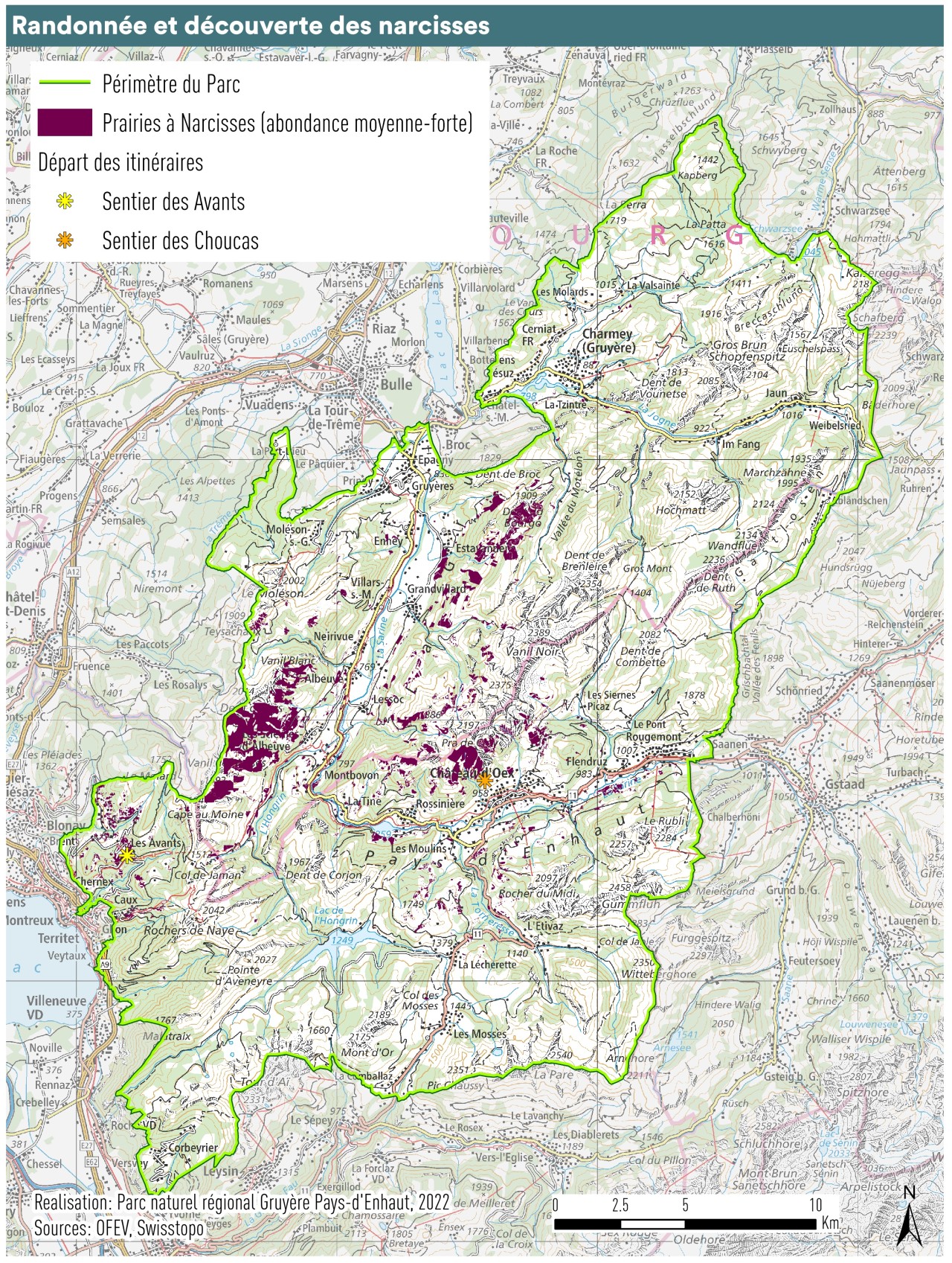 Carte randonnée découverte narcisses